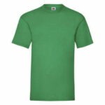 Camiseta hombre color verde manga corta - 61036 - Fruit of the Loom